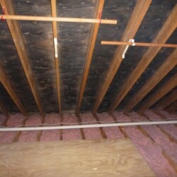 Suspected Microbial Growth Noted in Attic