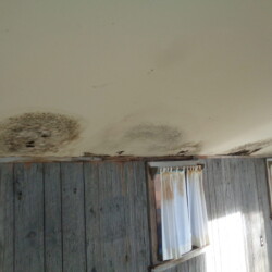 A Quality Home Inspection Inc